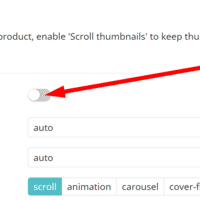 Scroll thumbnails on your Shopify store