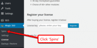 Click spins in the WordPress admin panel